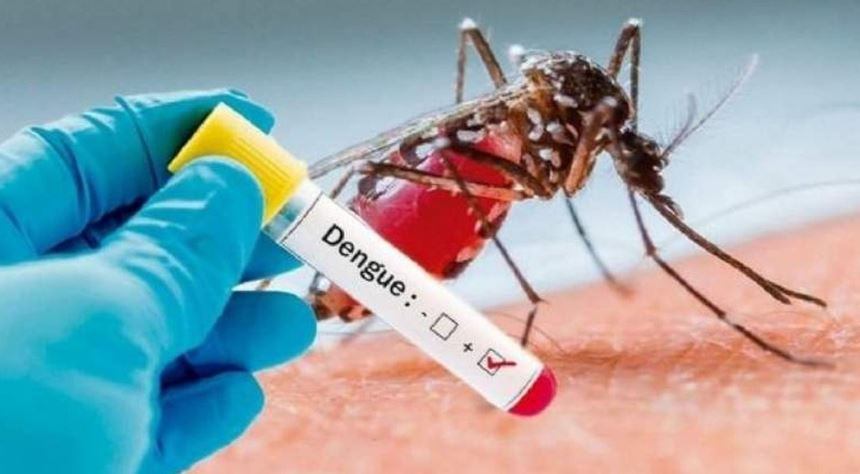 Dengue: solicitan confección de ficha epidemiológica ante casos sospechosos class=